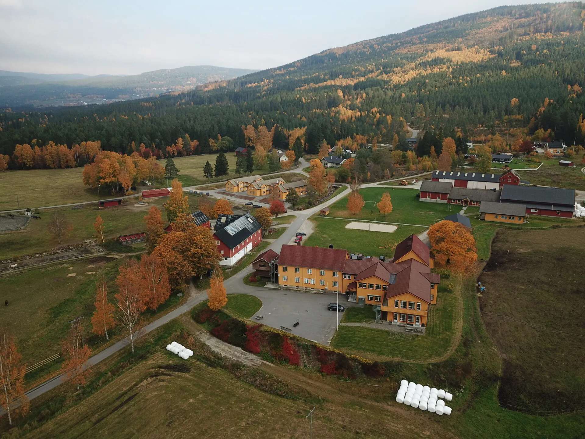 Drone-foto av skoleområdet sett ovenfra: gule skolebygg, røde driftsbygninger og skog i høstfarger