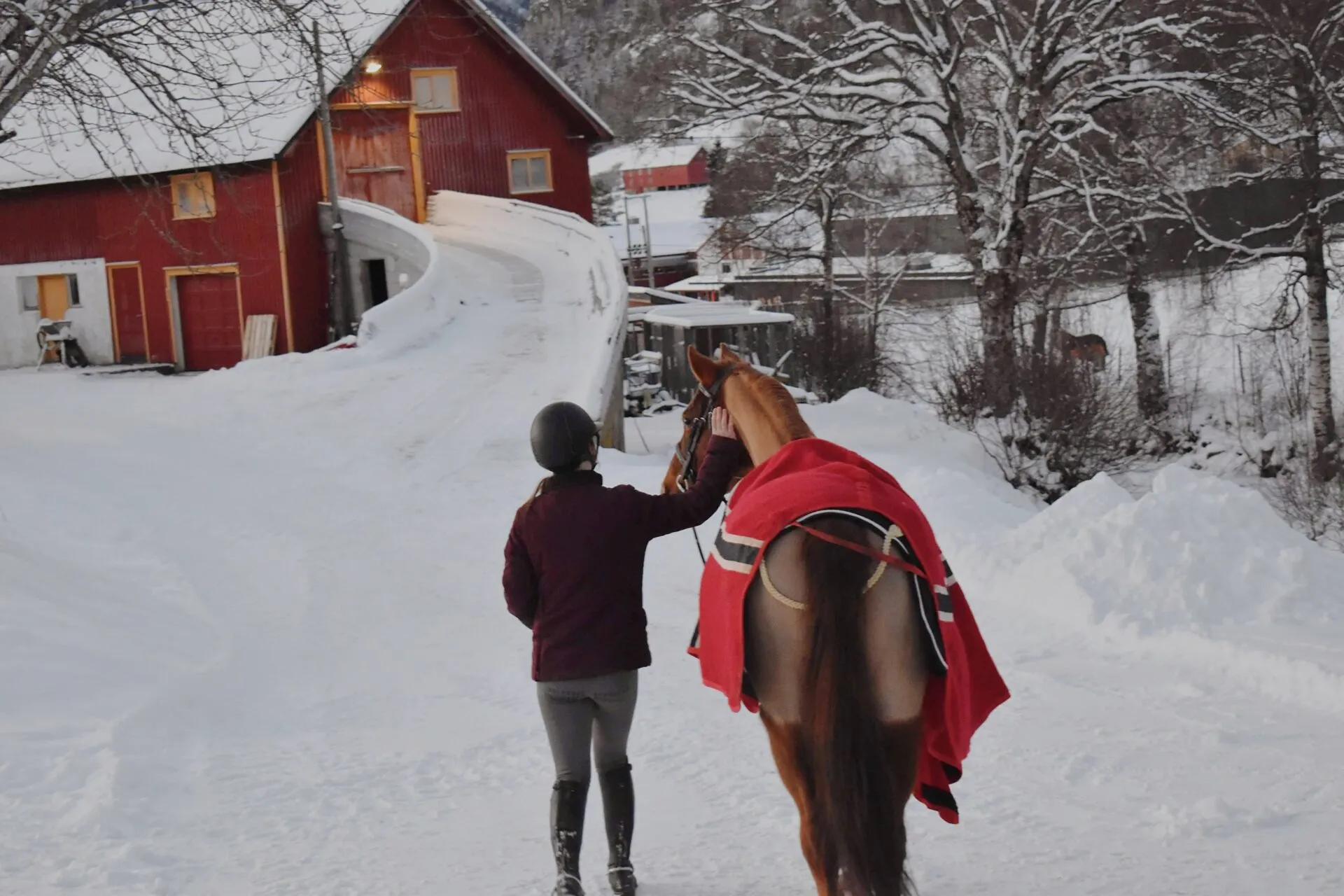 Elev leder en hest med rødt dekken gjennom snøen ved stallen