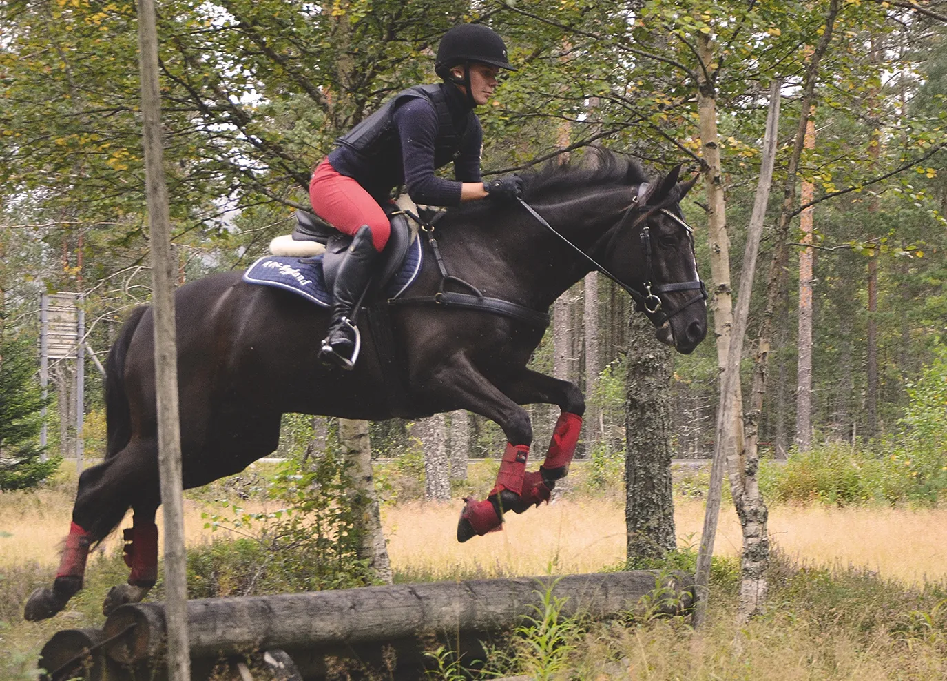 Rytter hopper hest over en tømmerstokk i skogen